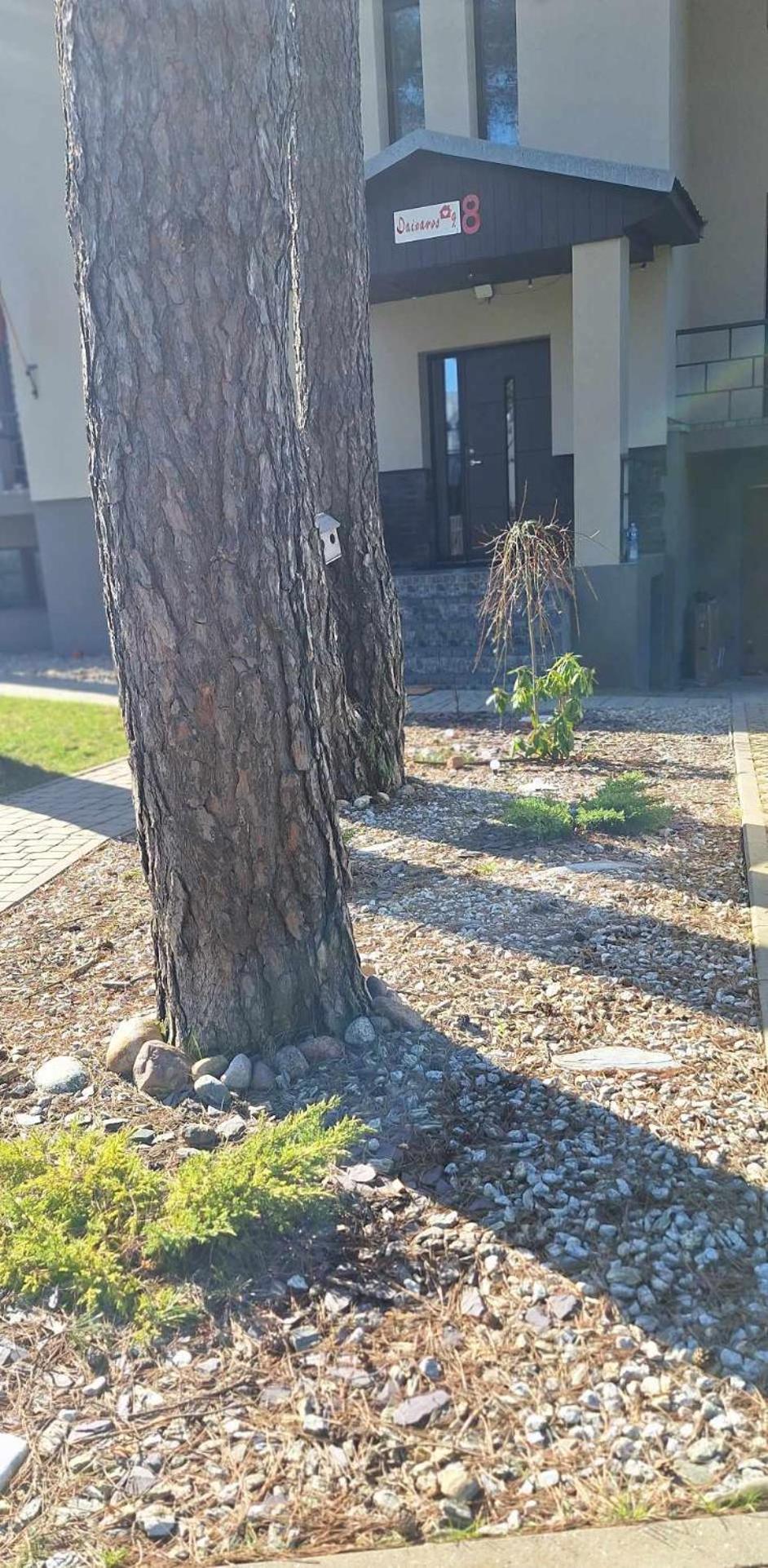 Dainavos Apartamentai Druskininkai Buitenkant foto